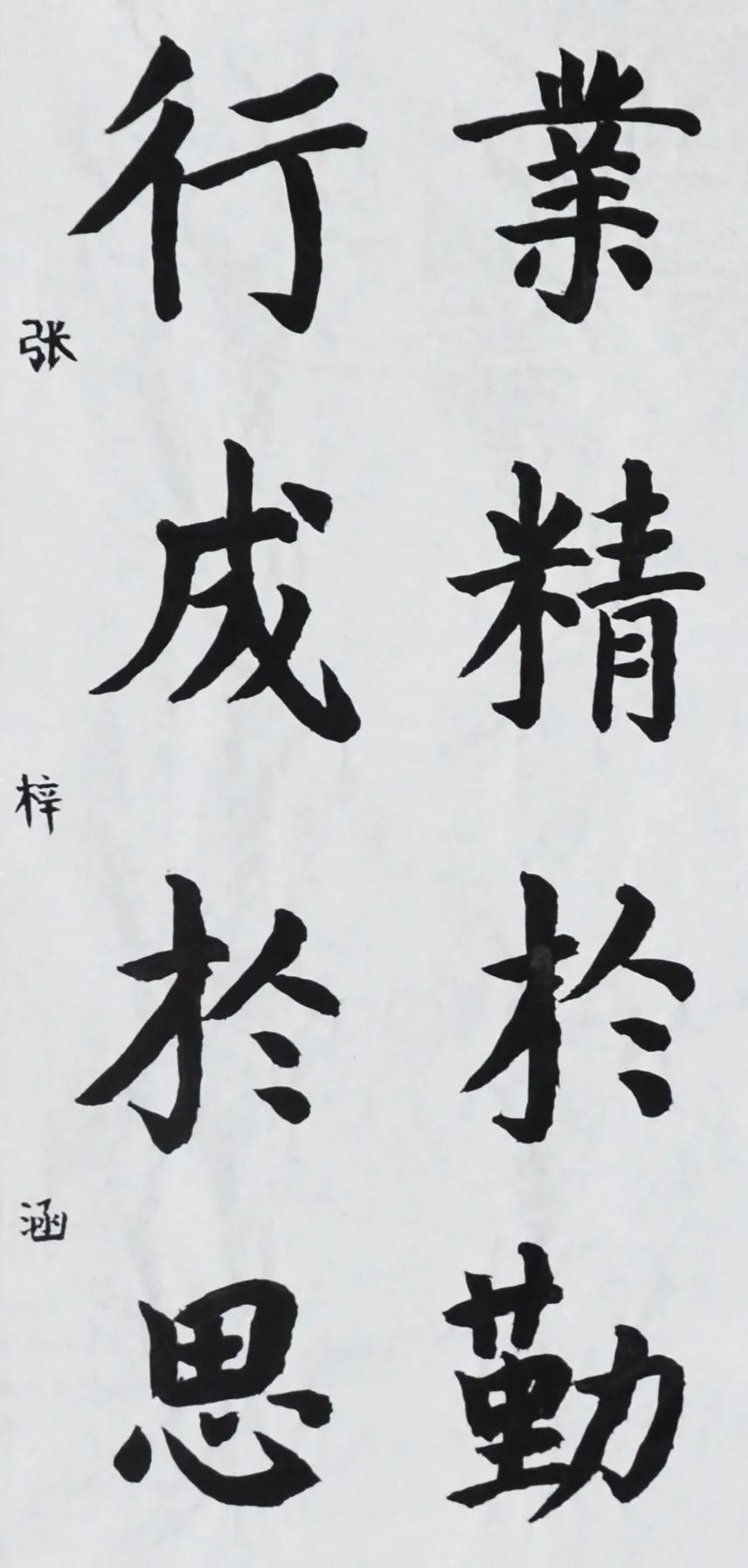 张梓涵.JPG