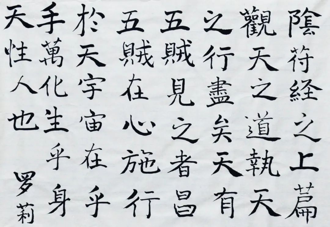 罗莉.JPG